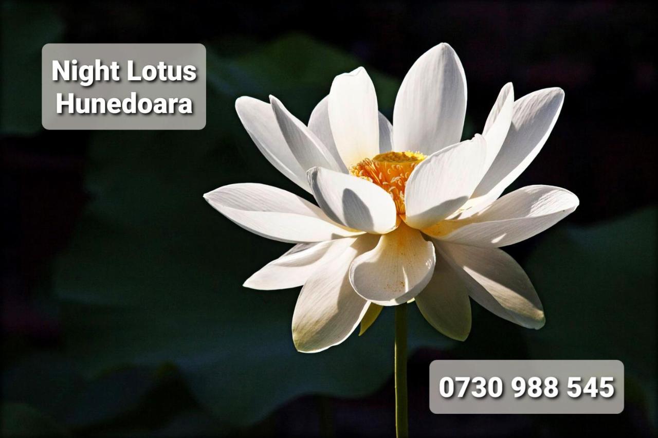 Night Lotus Hunedoara Exterior foto